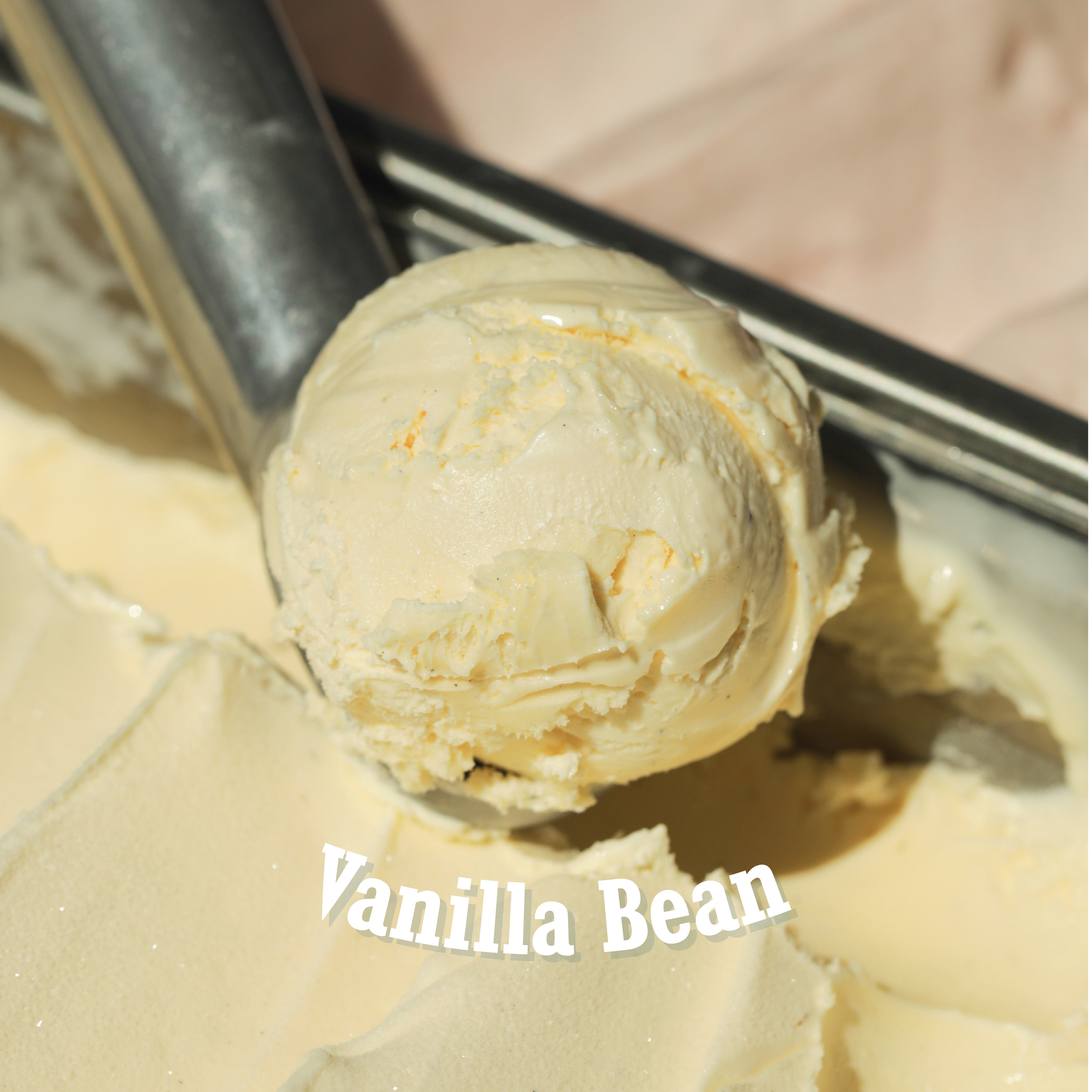 Vanilla Bean (473ml)