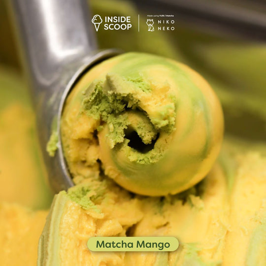 Matcha Mango (473ml)