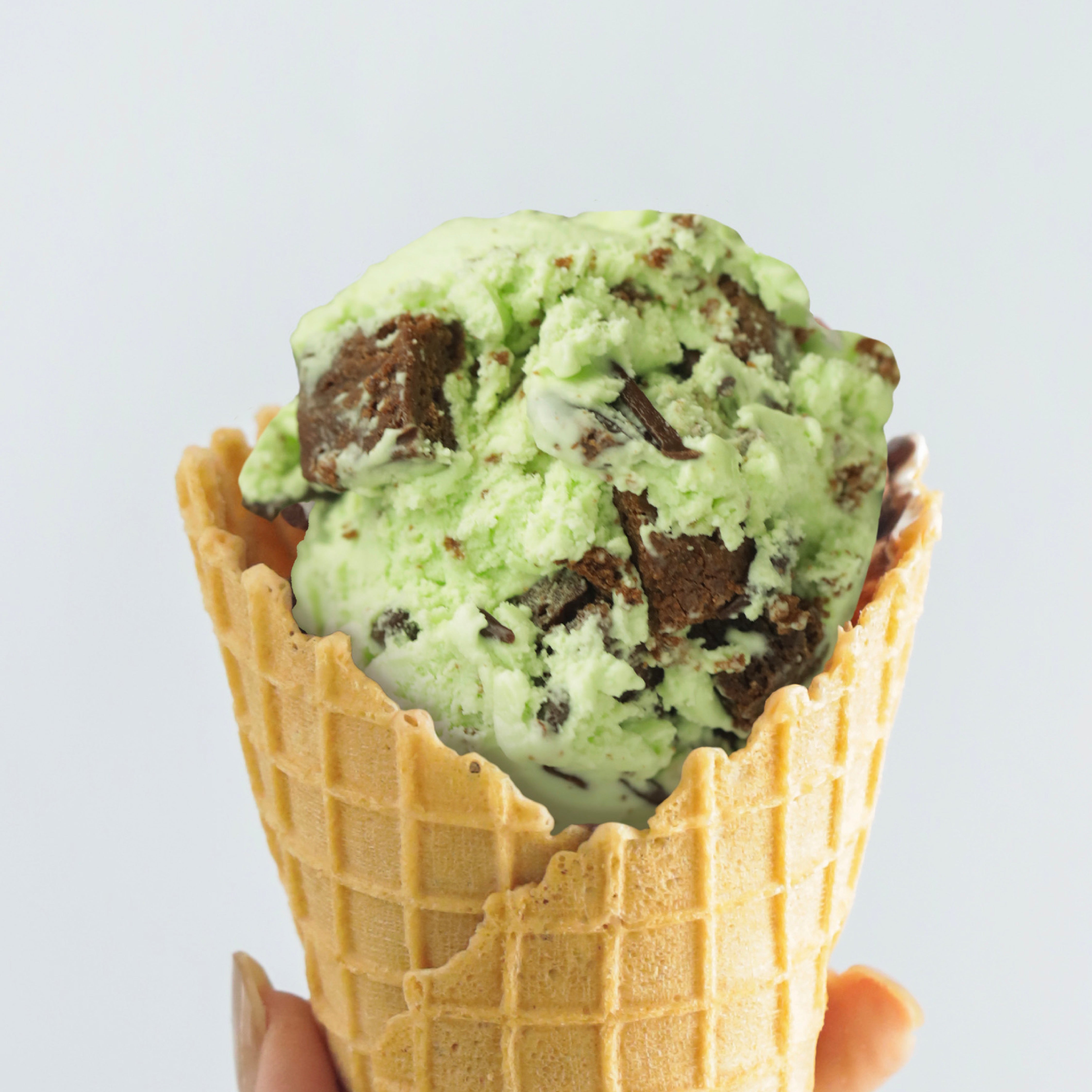 Mint Brownies (473ml)