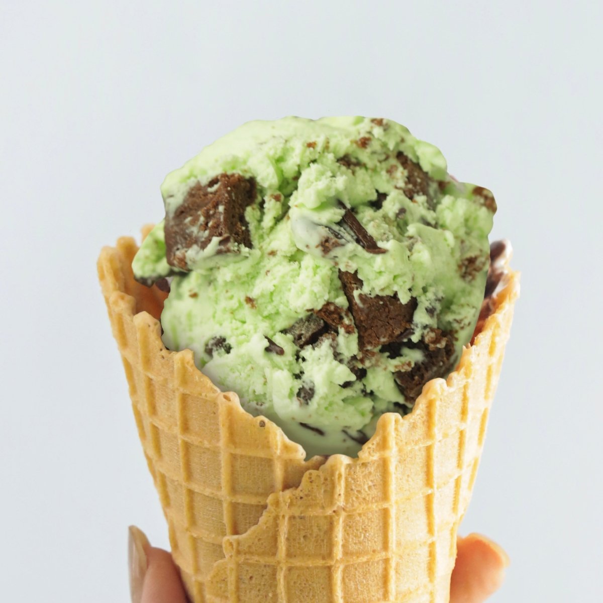 Mint Brownies (473ml)