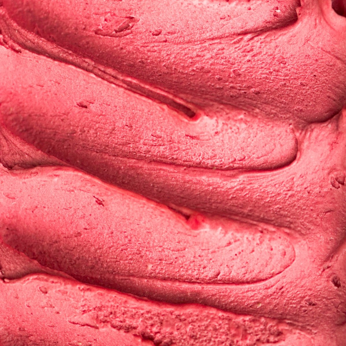 Raspberry Sorbet (473ml)