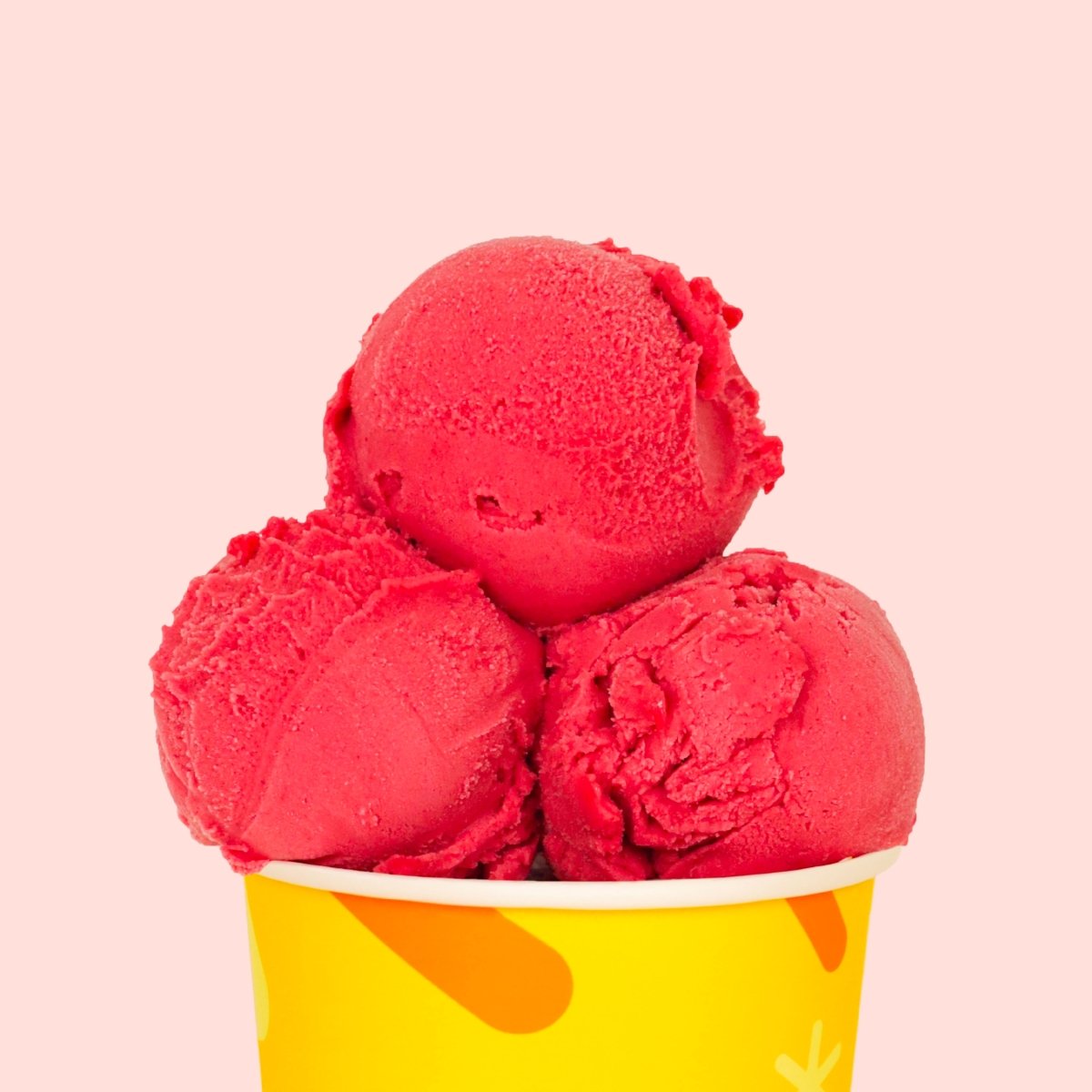 Raspberry Sorbet (473ml)
