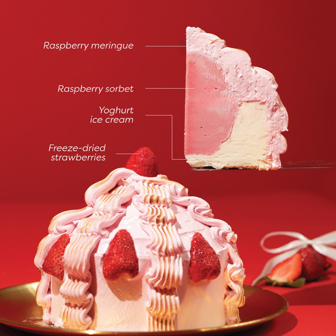 Raspberry Yoghurt Ice Cream Cake