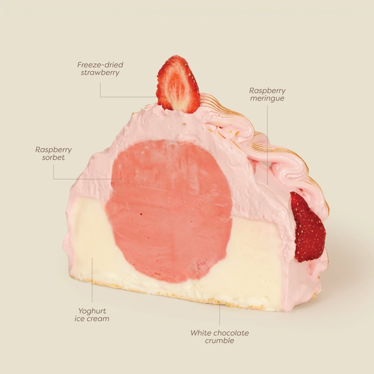 Raspberry Yoghurt Ice Cream Cake