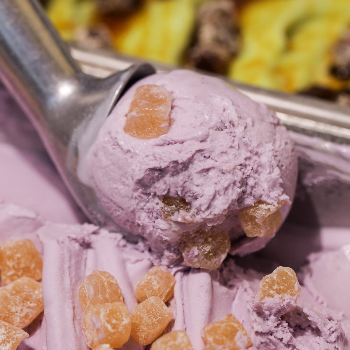 Taro Mochi (473ml)