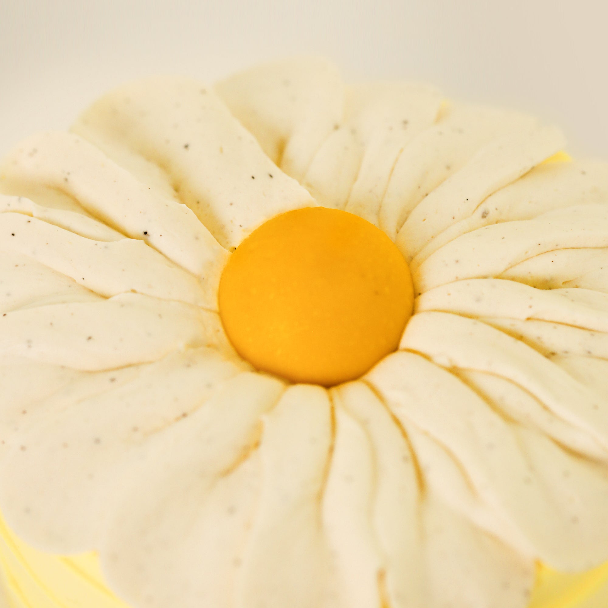 Little Daisy Ice Cream Cake