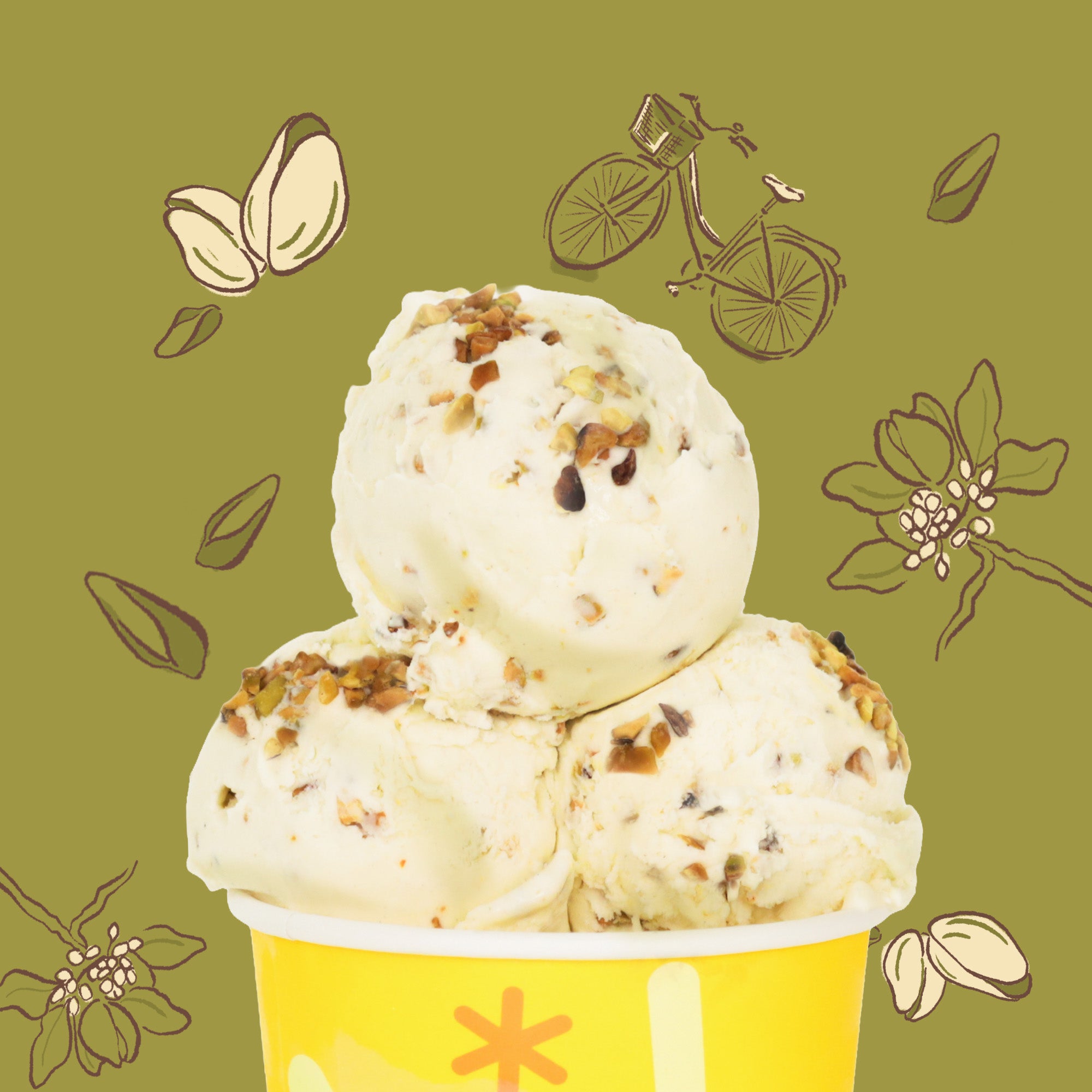 Pistachio Praline (473ml)