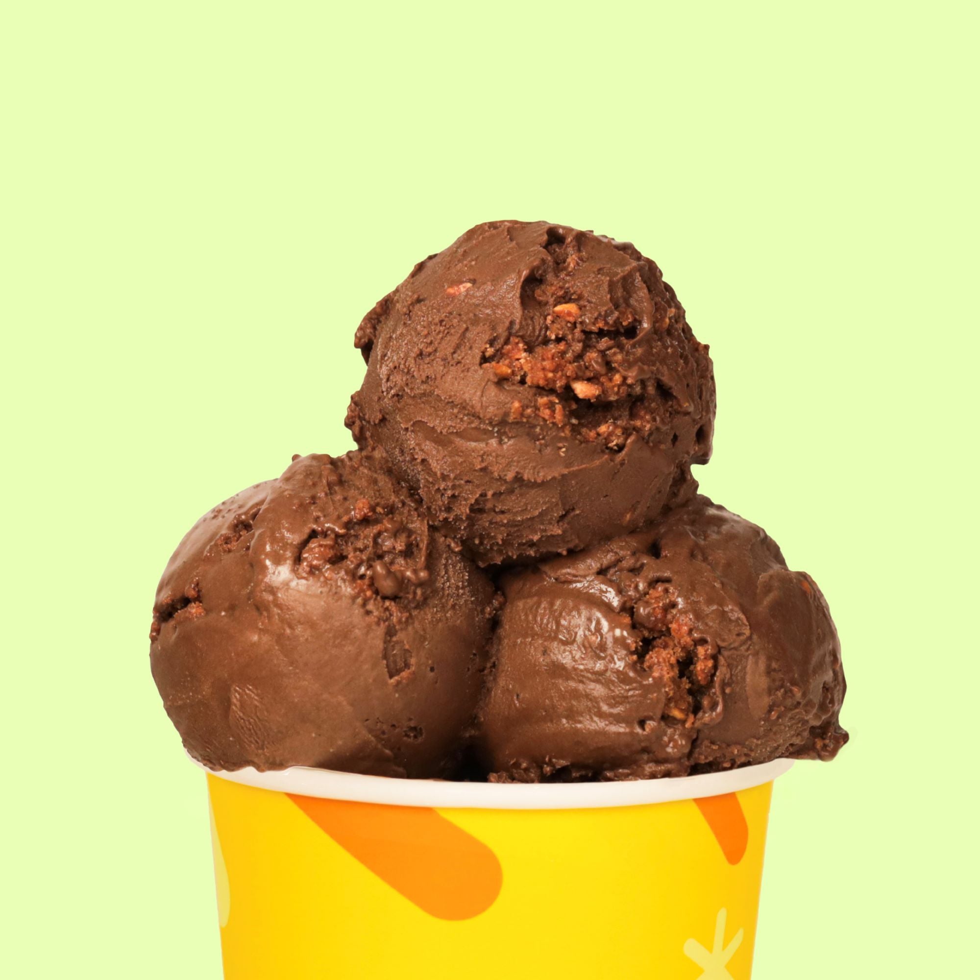 Crunchy Chocolate Sorbet (473ml)