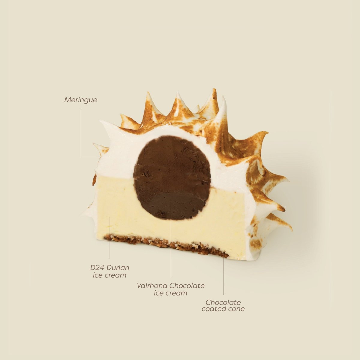 Bombe Alaska Ice Cream Cake