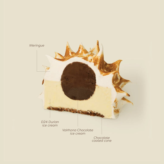 Bombe Alaska Ice Cream Cake