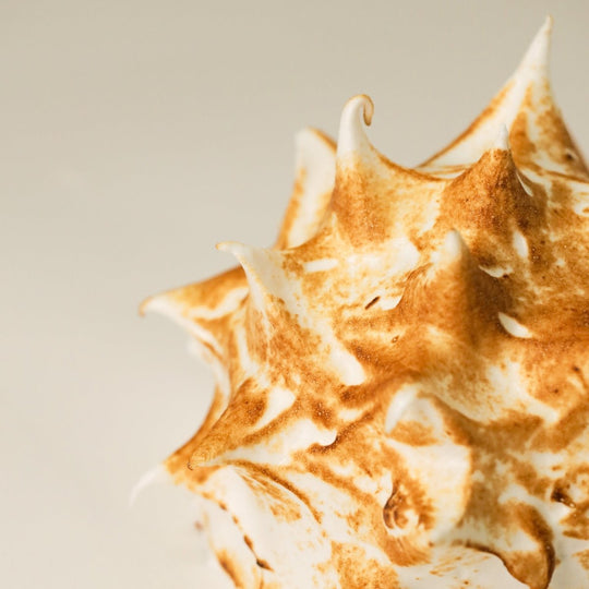 Bombe Alaska Ice Cream Cake