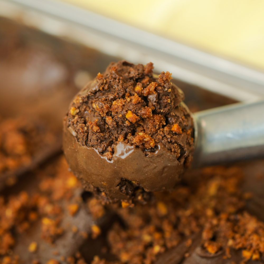 Crunchy Chocolate Sorbet (473ml)