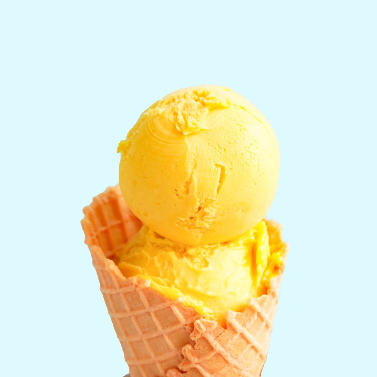 Mango Sorbet (473ml)