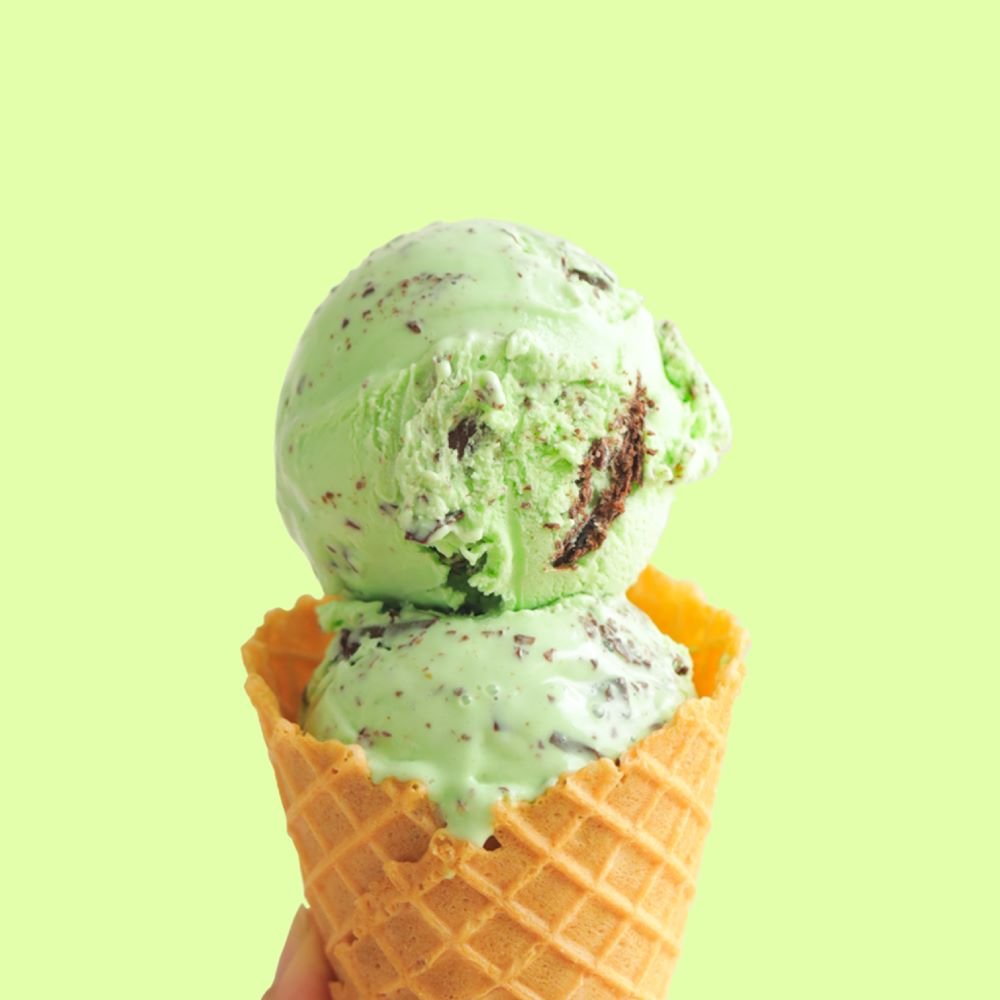 Mint Chocolate Chip (473ml)