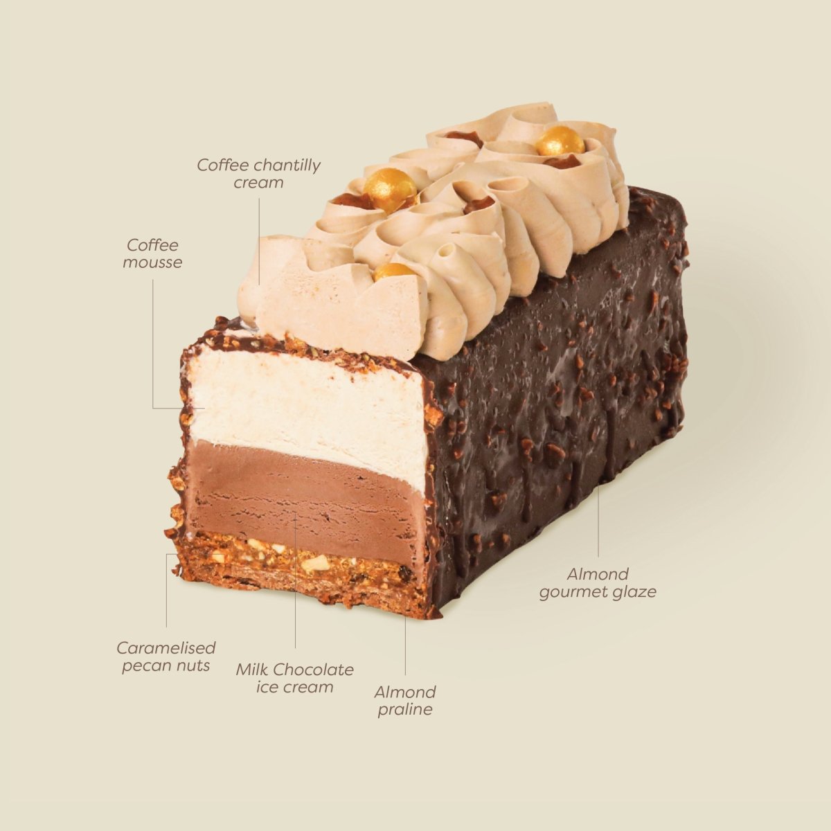 Mocha Ice Cream Cake